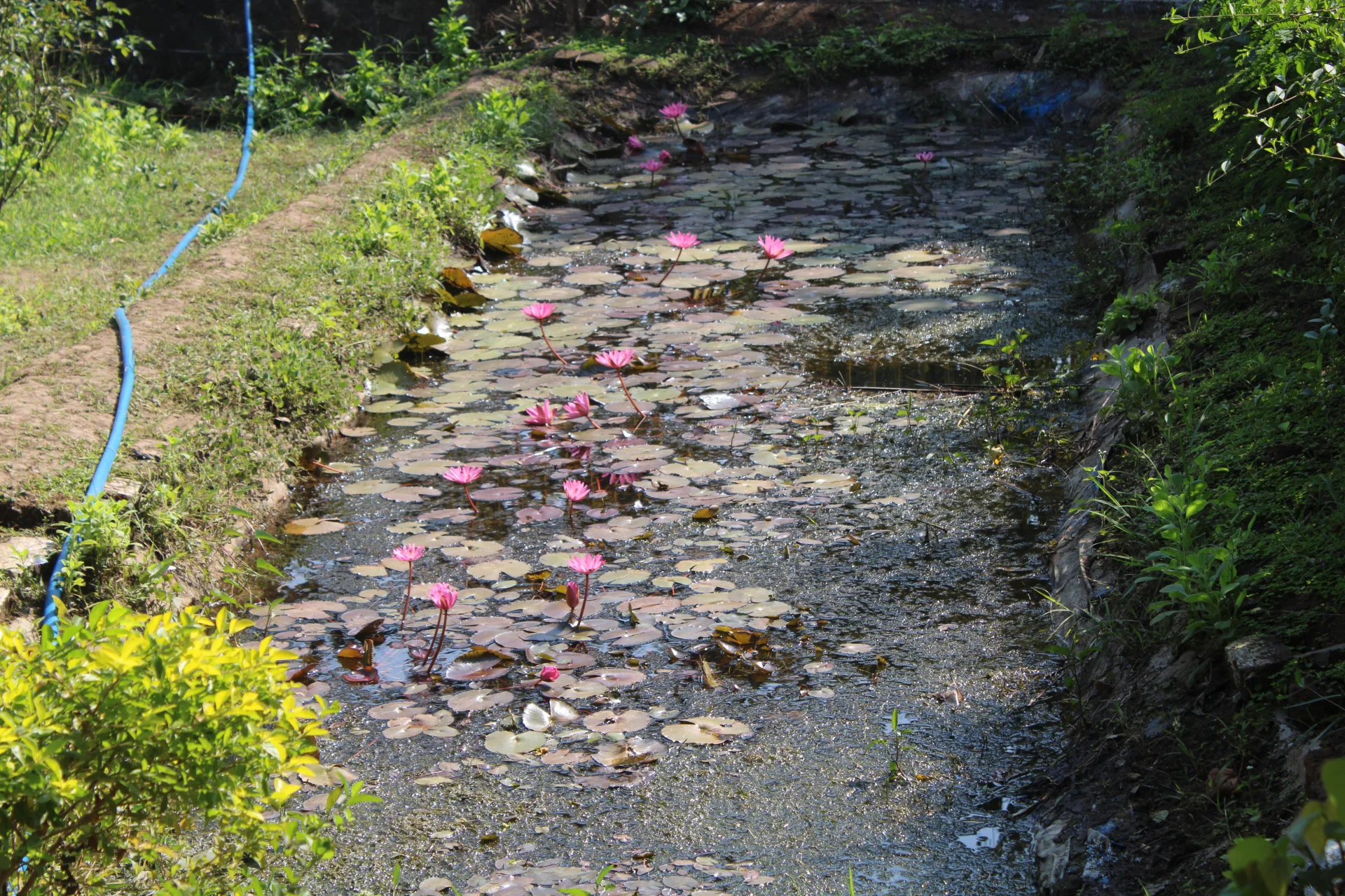 Saputara Adventure Camp – 3 Days / 2 Nights image 13