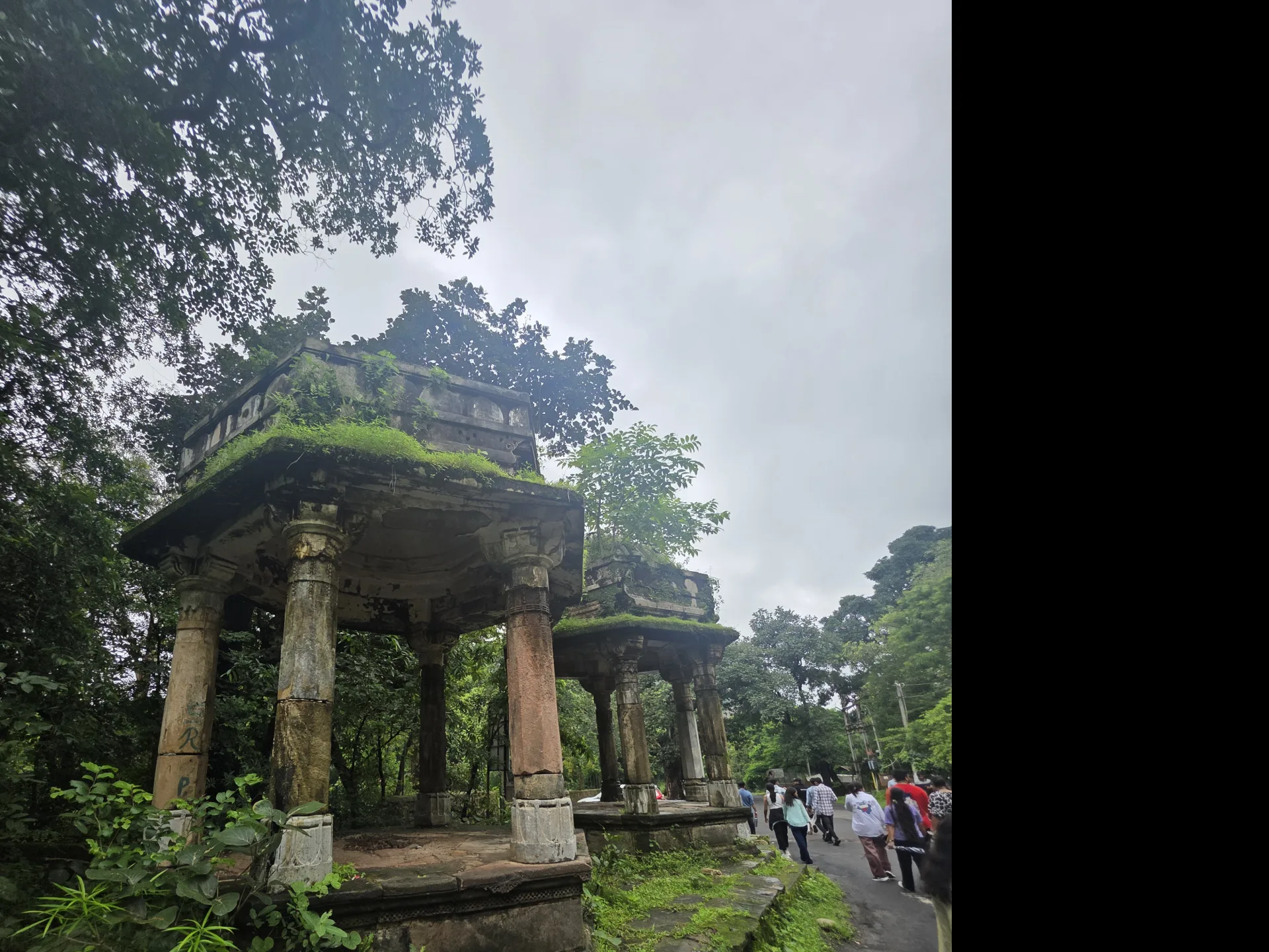 Polo Forest One Day Trip image 4