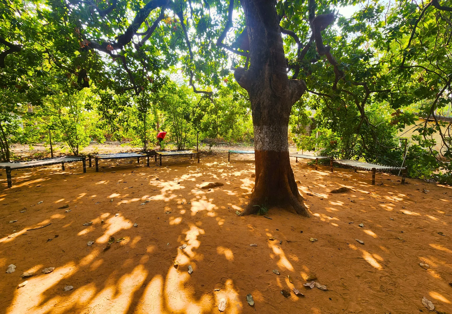 Bakor One Day Trip image 5