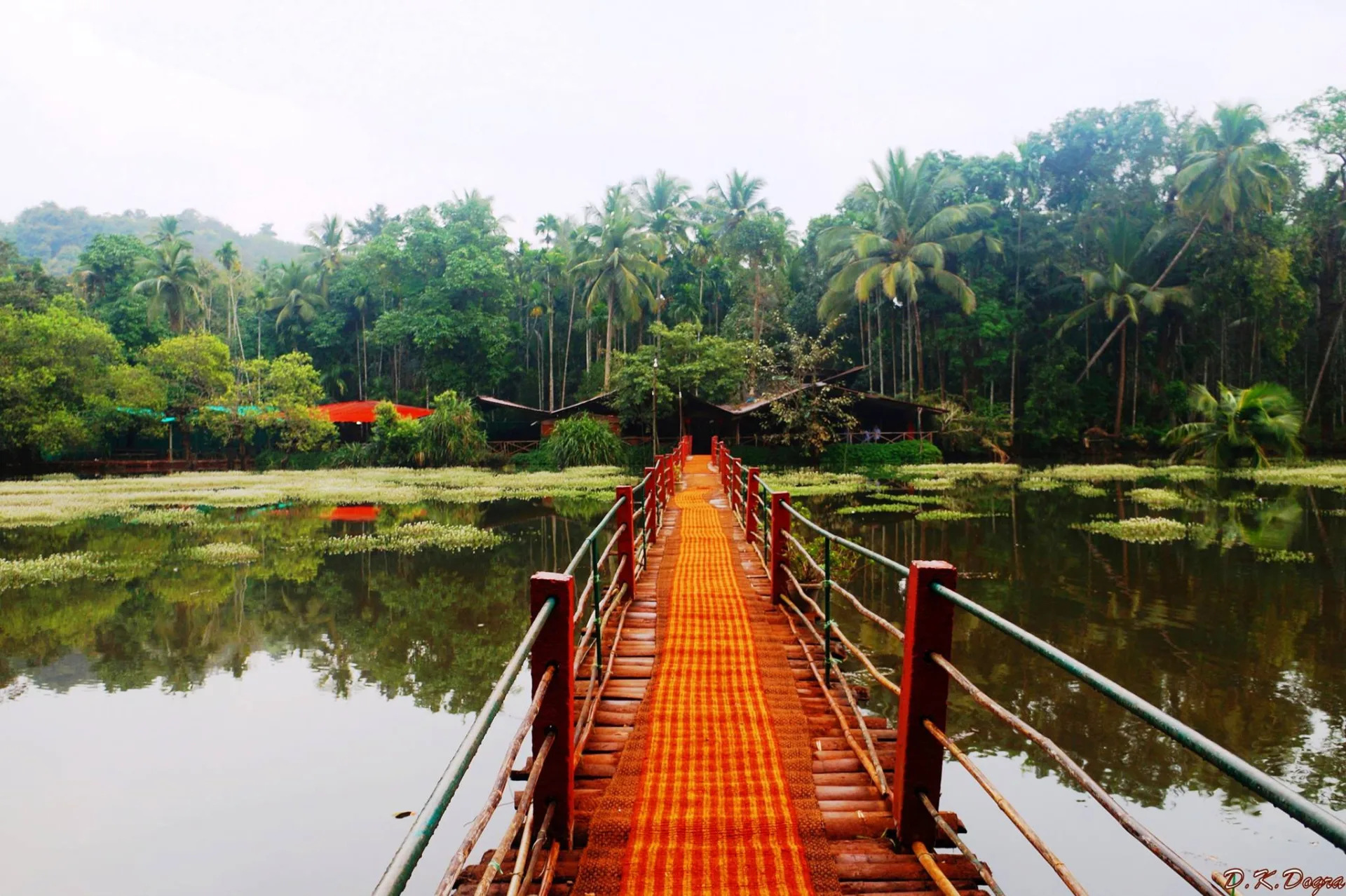 Tropical Spice Plantation
